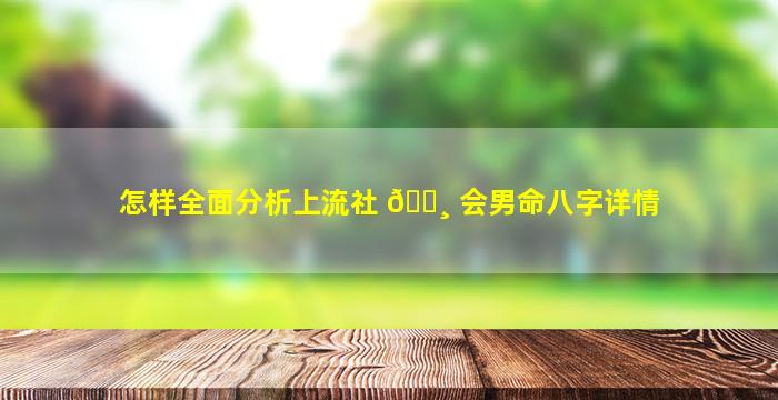 怎样全面分析上流社 🕸 会男命八字详情